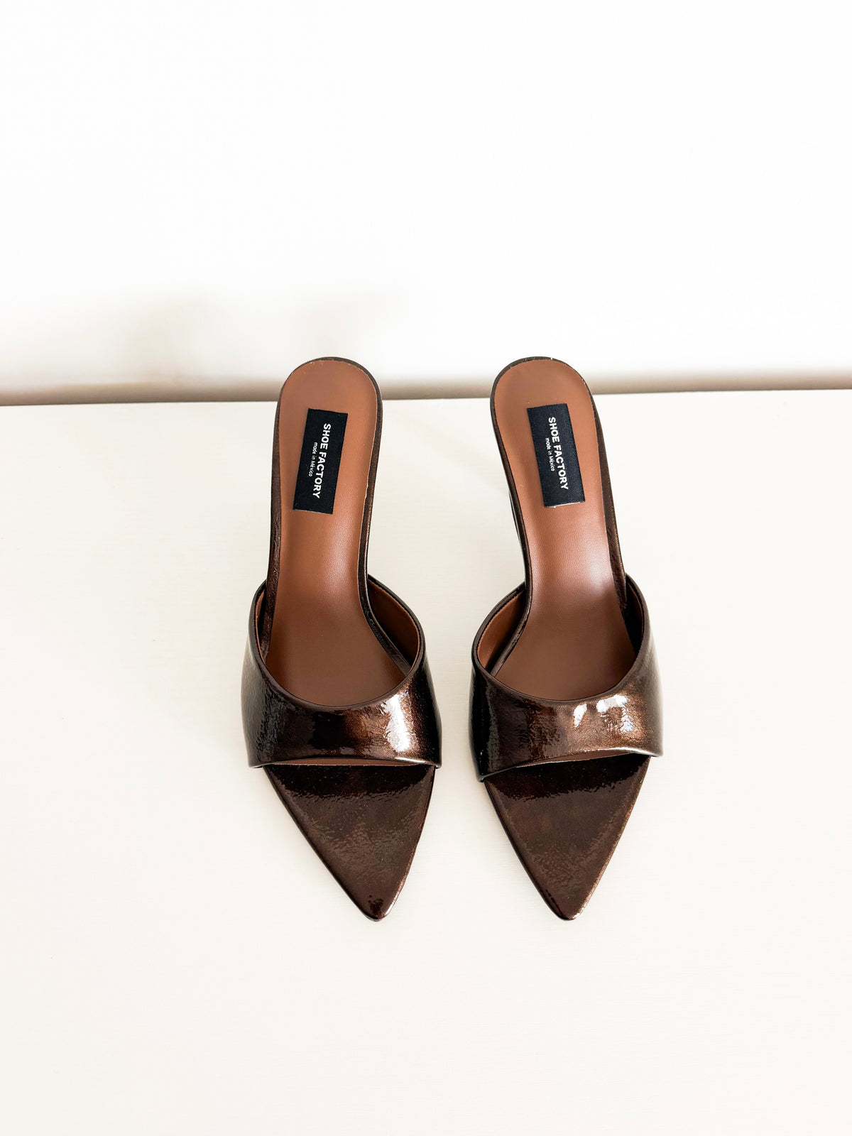 Bermuda brown
