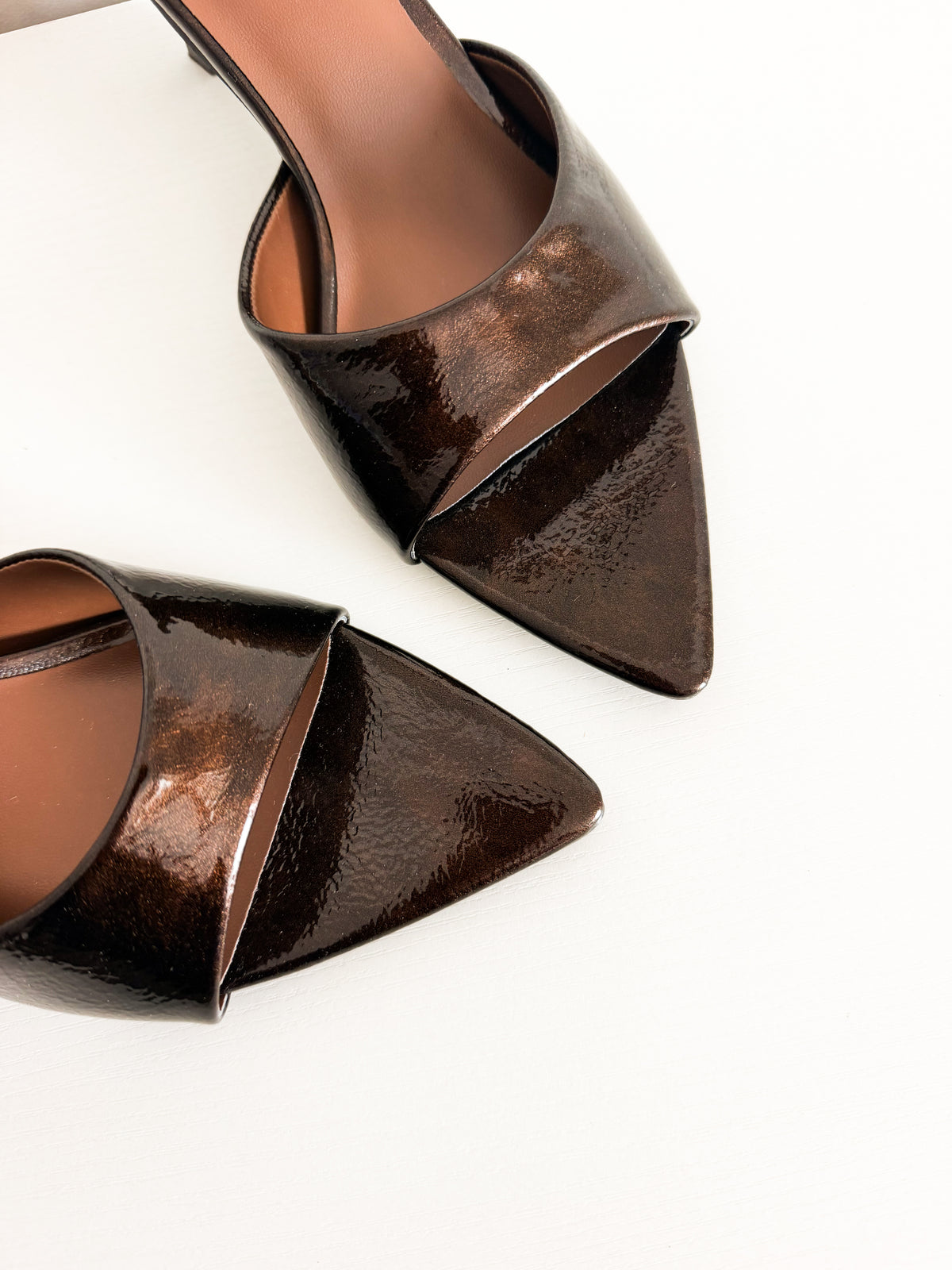 Bermuda brown