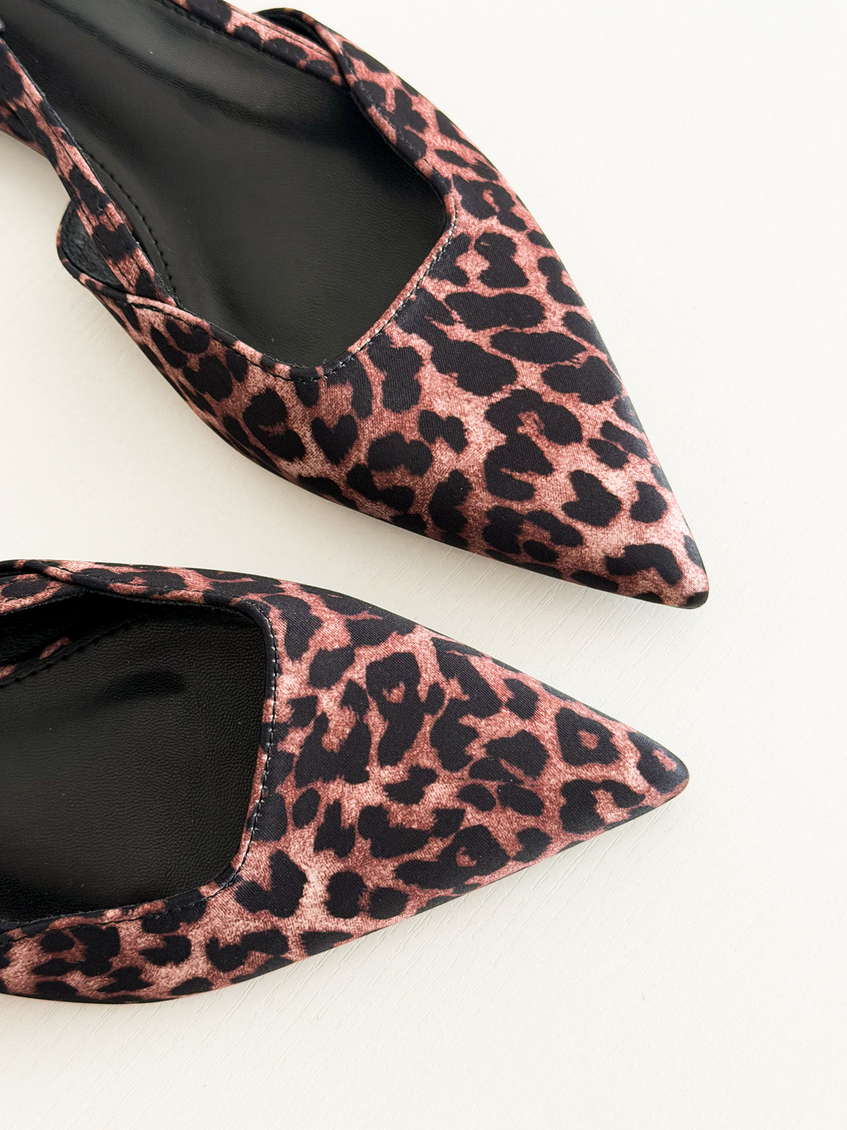 Cass leopard