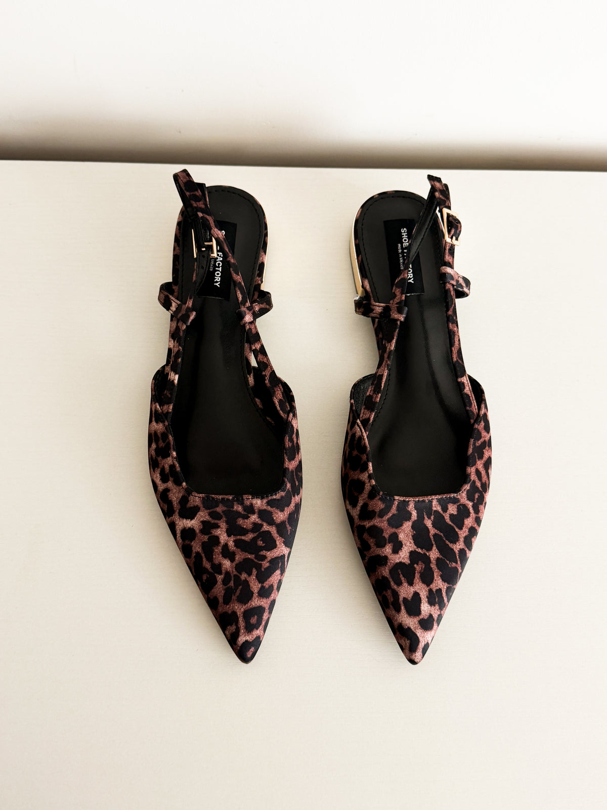 Cass leopard