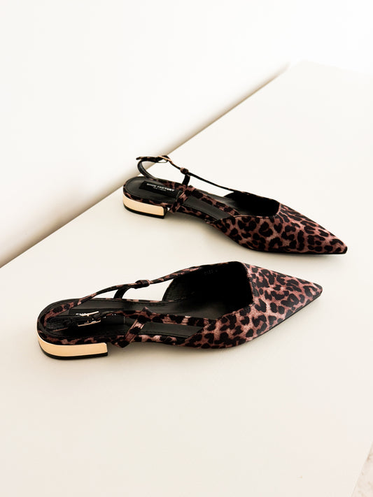Cass leopard