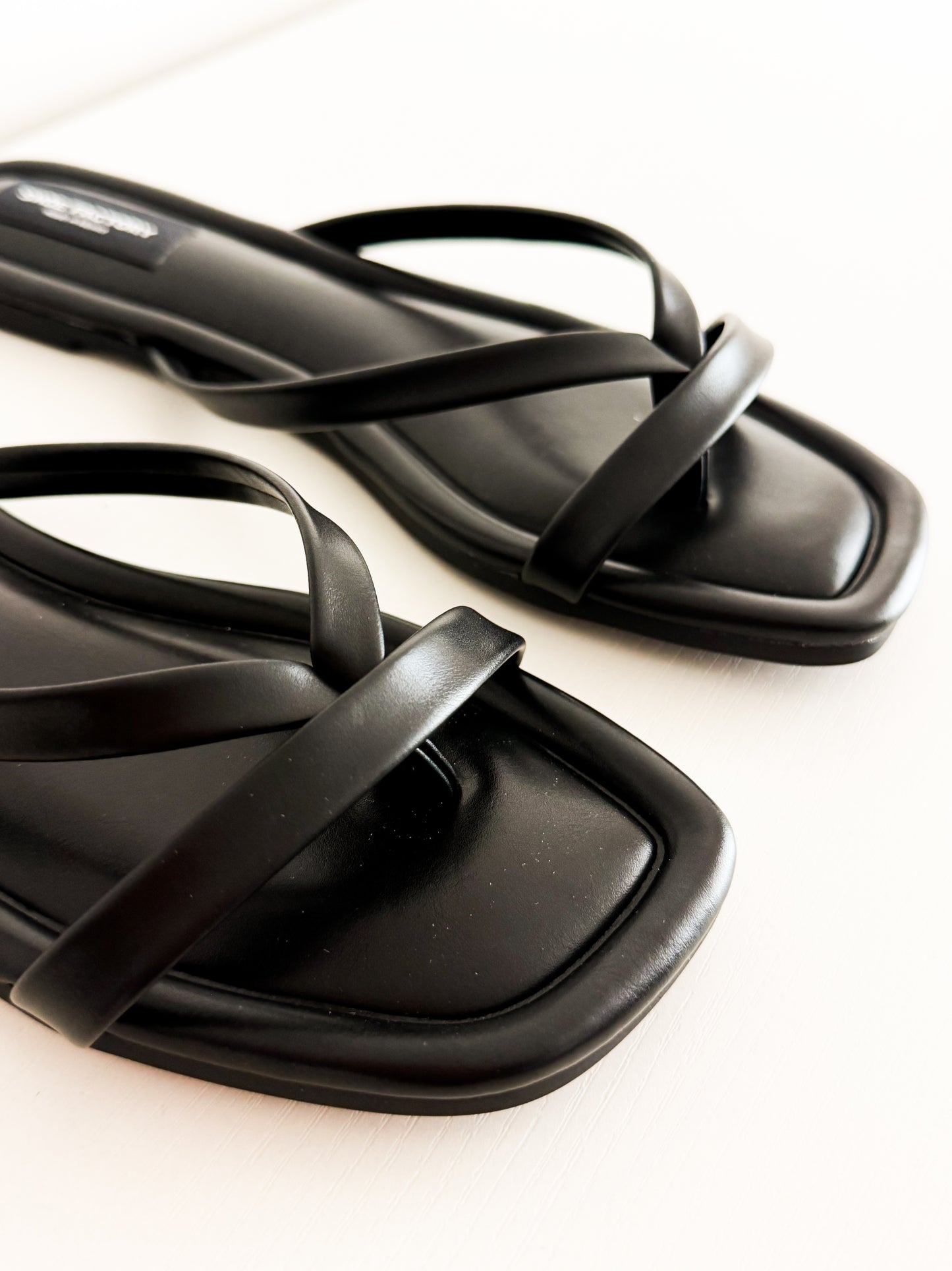 Odelia black